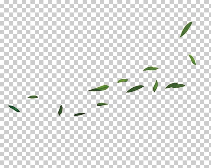 Green Leaf Bamboo PNG, Clipart, Bamboe, Bamboo Leaves, Bamboo Tree, Branch, Designer Free PNG Download