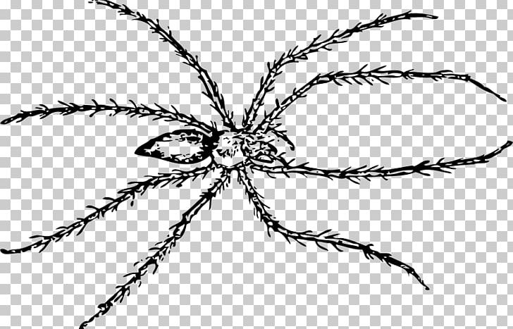 Spider Drawing Line Art PNG, Clipart, Arachnid, Art, Arthropod, Artwork, Black And White Free PNG Download