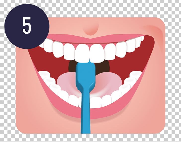 Tooth Brushing Dentistry Human Tooth Teeth Cleaning PNG, Clipart, Brush, Dental Restoration, Dentist, Dentistry, Eyelash Free PNG Download