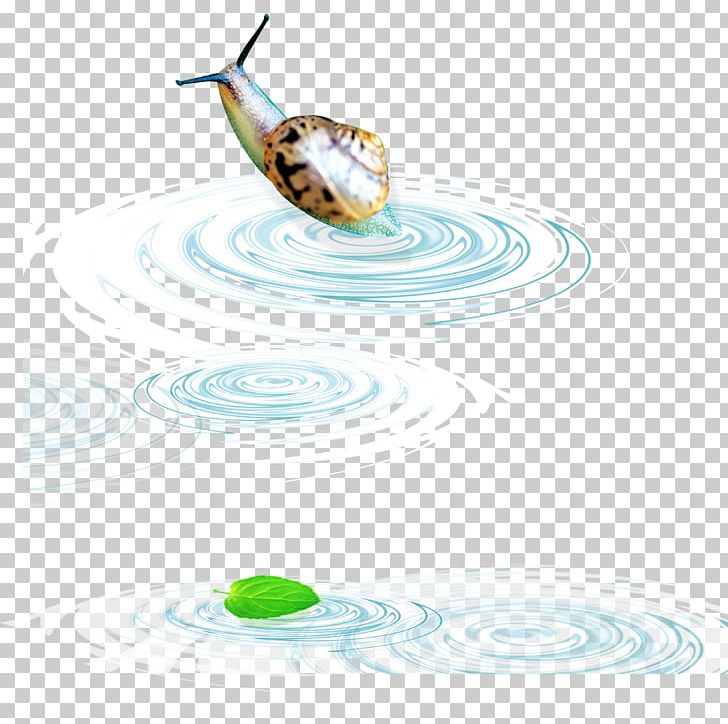 Water Snail PNG, Clipart, Caracol, Circle, Computer Wallpaper, Download, Drop Free PNG Download