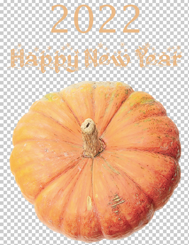 Squash Winter Squash Gourd Calabaza Natural Food PNG, Clipart, Calabaza, Commodity, Fruit, Gourd, Local Food Free PNG Download