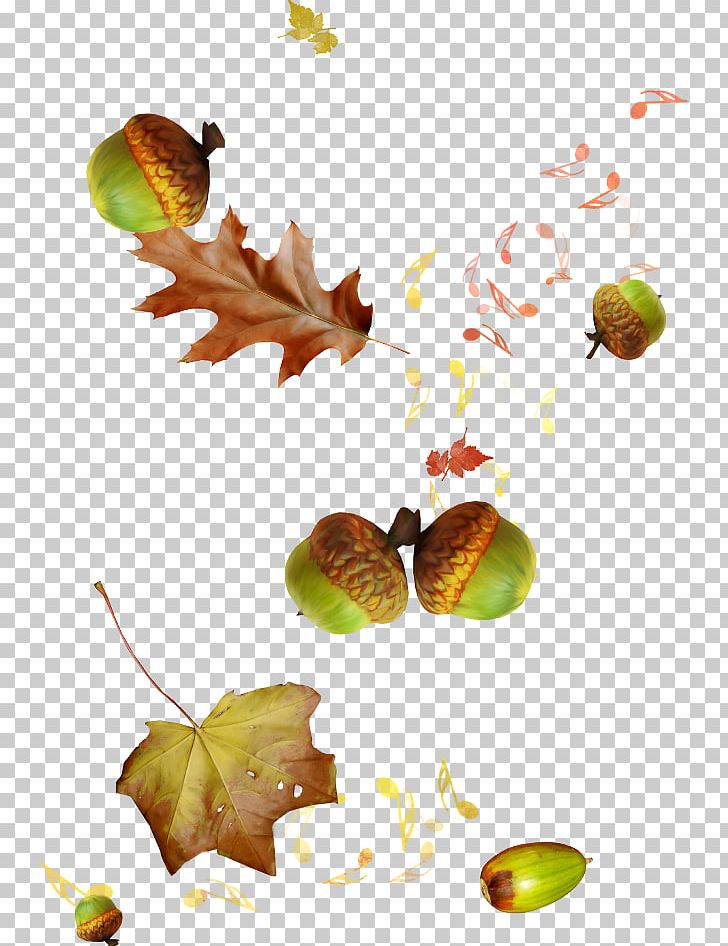 Autumn PNG, Clipart, Autumn, Branch, Clip Art, Deciduous, Dots Per Inch Free PNG Download