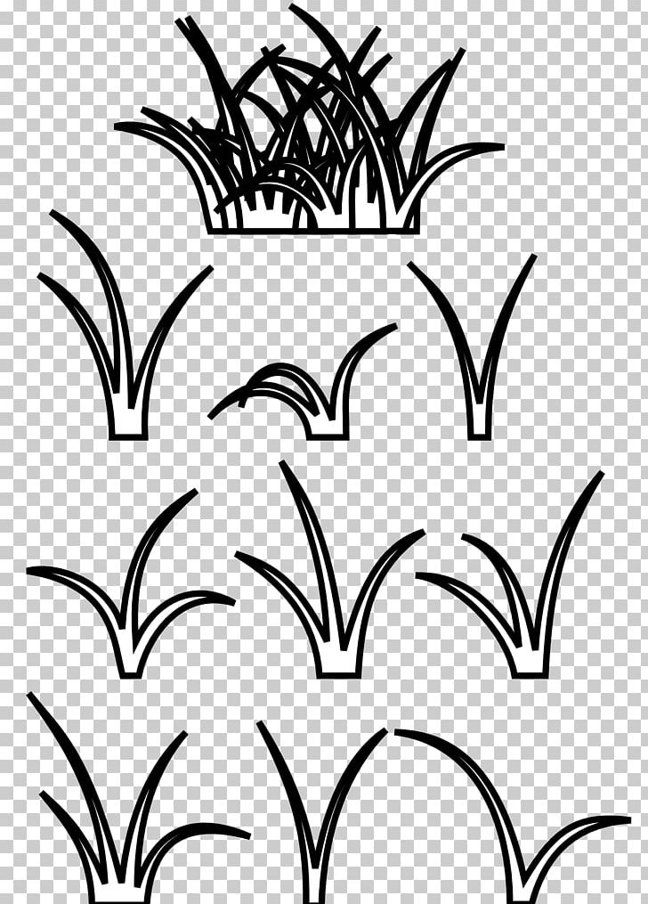 Black And White PNG, Clipart, Artwork, Black, Black And White, Branch, Cartoon Grass Panda Clipart Free PNG Download