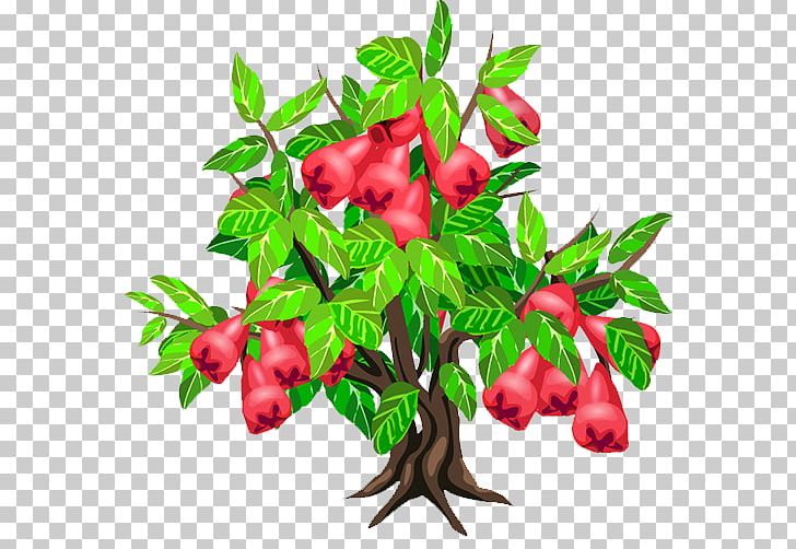 Java Apple Fruit Tree Strawberry PNG, Clipart, Appl, Apple Fruit, Beautiful, Berry, Branch Free PNG Download