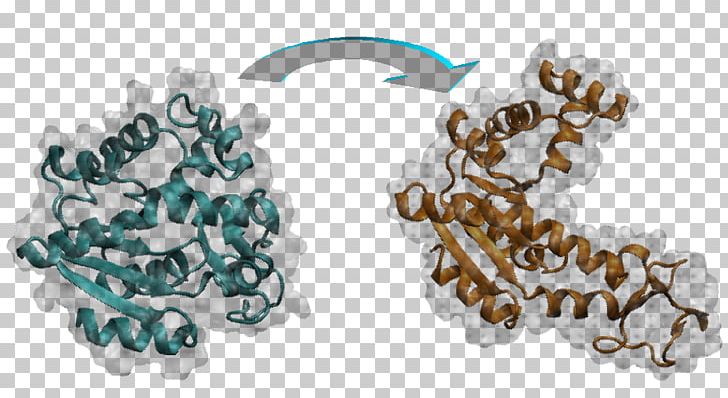 Molecular Dynamics Genome Bioinformatics RNA-targeting Small Molecule Drugs PNG, Clipart, Bioinformatics, Biomolecular Structure, Body Jewelry, Coarse Grains, Dna Free PNG Download