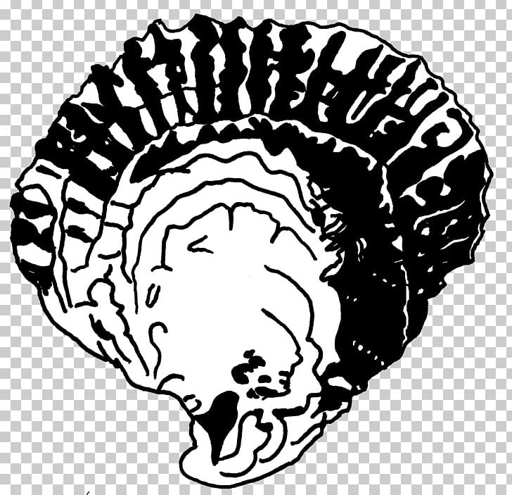Oyster Drawing Mussel Line Art PNG, Clipart, Black And White, Brain, Circle, Drawing, Head Free PNG Download