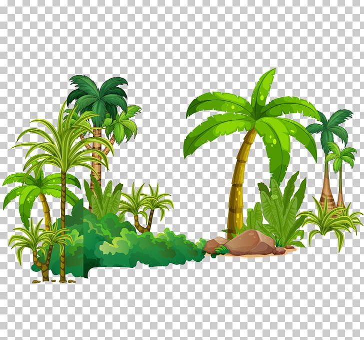 Tree Tropical Rainforest Euclidean PNG, Clipart, Aquarium Decor, Arecaceae, Class, Coc, Coconut Free PNG Download