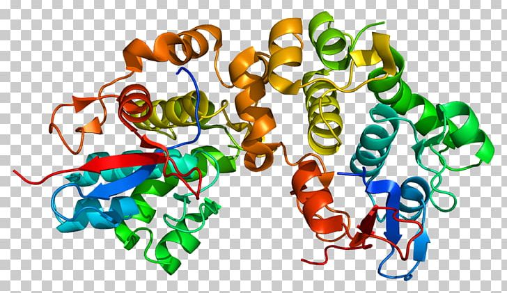 Desmoplakin Laminin Desmosome Structure Plakoglobin PNG, Clipart, Cardiac Muscle, Cell, Crystal Structure, Desmosome, Laminin Free PNG Download