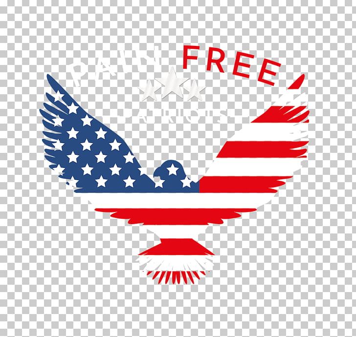 Flag Of The United States Independence Day Maiden Dixie PNG, Clipart, 4 July, Area, Brand, Flag, Flag Of The United States Free PNG Download