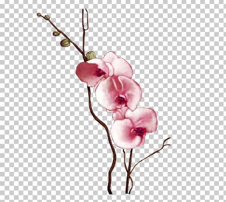 Flower Photography PNG, Clipart, Blossom, Branch, Cut Flower, Decoupage, Flora Free PNG Download