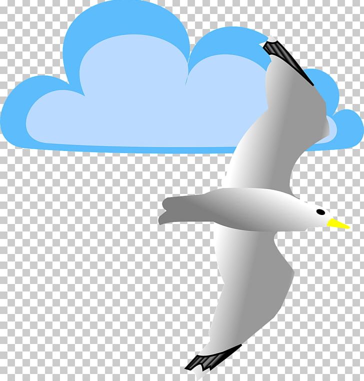 Gulls Computer Icons PNG, Clipart, Animals, Beak, Bird, Charadriiformes, Computer Icons Free PNG Download