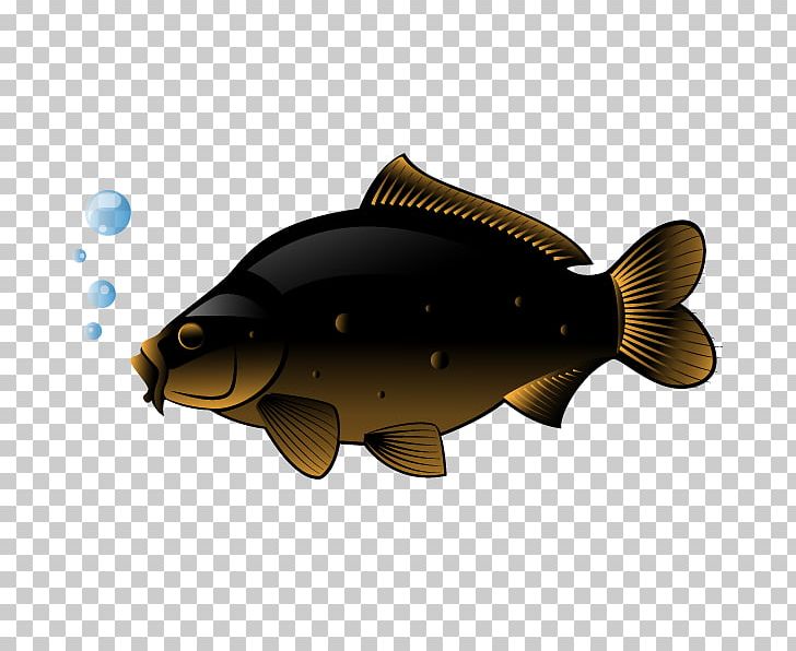 Swordfish Freshwater Fish PNG, Clipart, Animal, Animals, Aquarium Fish, Aquatic Animal, Bony Fish Free PNG Download