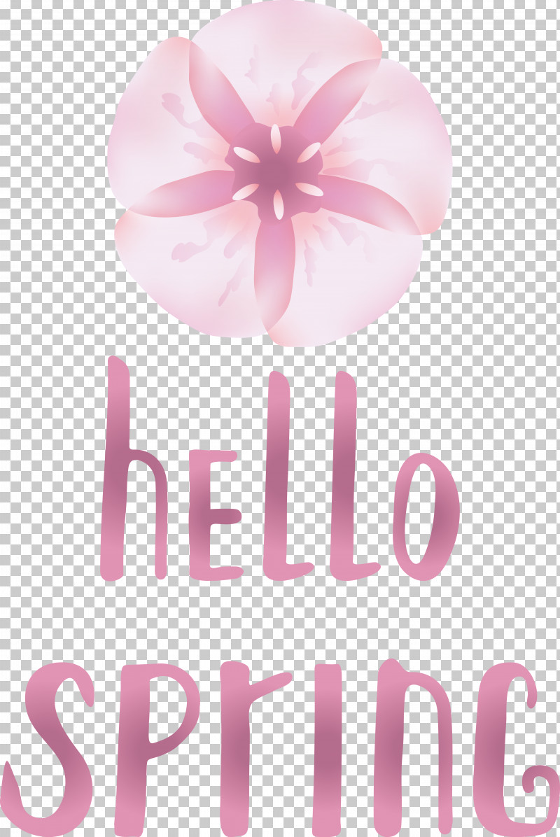 Font Flower Petal Pink M Meter PNG, Clipart, Flower, Meter, Petal, Pink M Free PNG Download