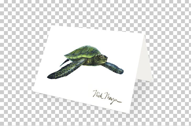 Green Sea Turtle Giant Sea Bass Syngnathidae PNG, Clipart, California Spiny Lobster, Chambered Nautilus, Crab, Giant Sea Bass, Green Sea Turtle Free PNG Download