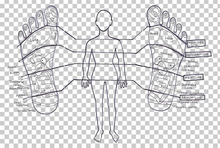 Stories The Feet Can Tell Thru Reflexology Foot Human Body Hand PNG, Clipart, Angle, Ankle, Area, Arm, Artwork Free PNG Download