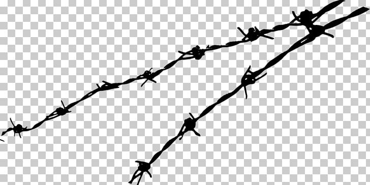 Barbed Wire PNG, Clipart, American Wire Gauge, Branch, Copper Conductor, Electrical Cable, Home Fencing Free PNG Download