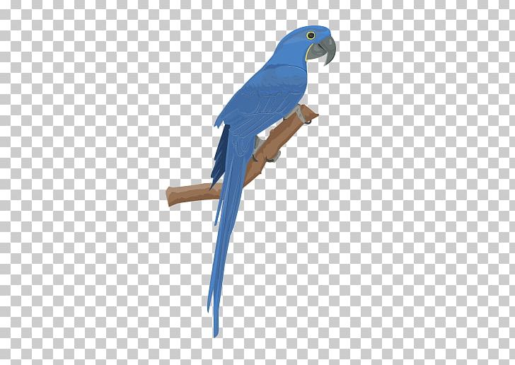 Budgerigar Hyacinth Macaw Parrot Bird PNG, Clipart, Animals, Anodorhynchus, Beak, Bird, Budgerigar Free PNG Download