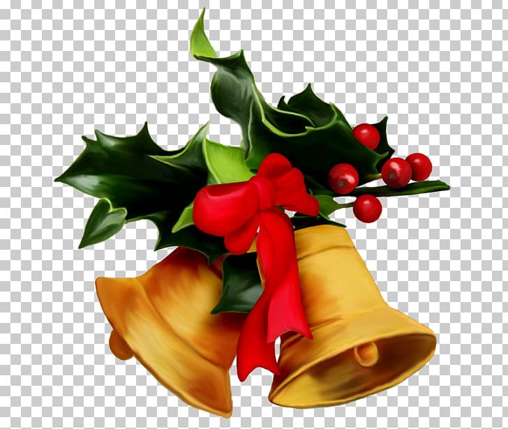 Christmas Tree Christmas Eve New Year PNG, Clipart, Aquifoliaceae, Aquifoliales, Christmas, Christmas And Holiday Season, Christmas Decoration Free PNG Download