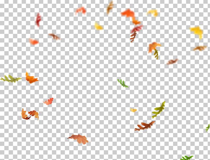 Leaf Overlay PNG, Clipart, Branch, Butterfly, Computer Program, Falling, Flora Free PNG Download