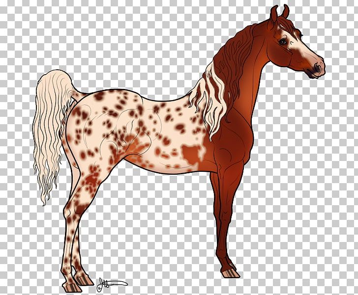 Mustang Stallion Mare Foal Colt PNG, Clipart, Animal Figure, Bridle, Colt, Foal, Halter Free PNG Download