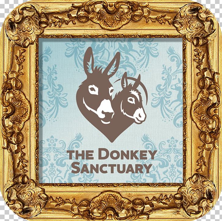 The Donkey Sanctuary Frames Animal Pattern PNG, Clipart, Animal, Animals, Constantine, Donkey, Donkey Sanctuary Free PNG Download