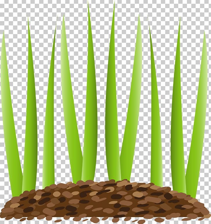 The Lawn Guy LLC Sod Fuquay-Varina Holly Springs PNG, Clipart, Aeration, Apex, Artificial Turf, Cary, Commodity Free PNG Download