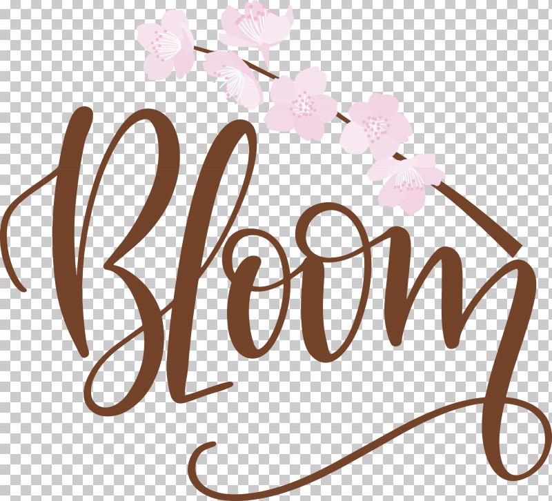 Bloom Spring PNG, Clipart, Bloom, Calligraphy, Flower, Flowerpot, Free Free PNG Download