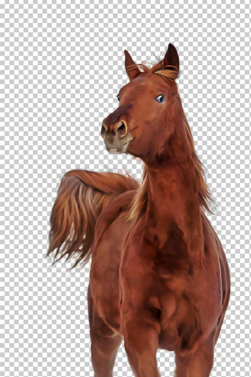 Horse Sorrel Brown Animal Figure Mane PNG, Clipart, Animal Figure, Brown, Horse, Liver, Mane Free PNG Download