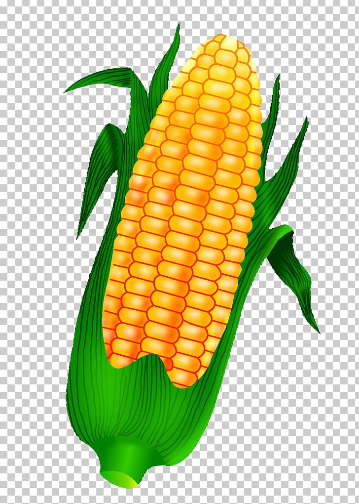 Corn On The Cob Maize Crop PNG, Clipart, Cartoon, Cartoon Corn, Caryopsis, Cereal, Commodity Free PNG Download
