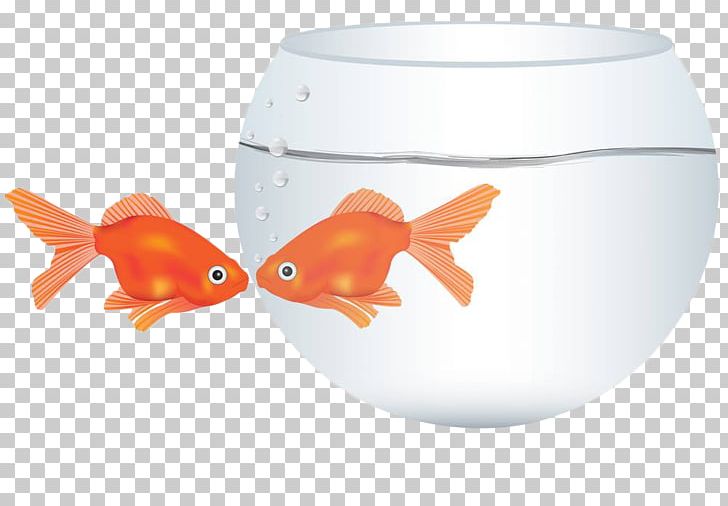 Goldfish Kissing Gourami Illustration PNG, Clipart, Aquarium, Aquatic, Aquatic Products, Blister, Bony Fish Free PNG Download