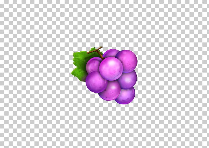 Grape Icon PNG, Clipart, Adobe Illustrator, Aug, Circle, Computer Graphics, Computer Wallpaper Free PNG Download