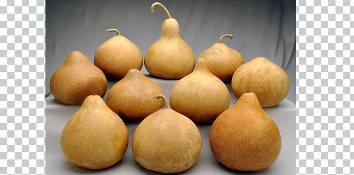 Gourd Boxed.com Shopping Grocery Store PNG, Clipart, Boxed.com, Boxedcom, Bulk Purchasing, Cucurbita, Food Free PNG Download