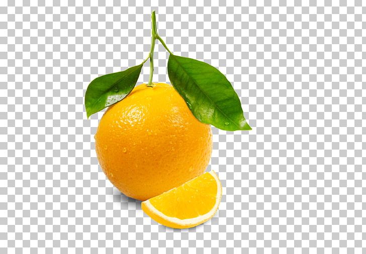 Orange Juice Lemon PNG, Clipart, Bitter Orange, Citric Acid, Citron, Citrus, Citrus Junos Free PNG Download