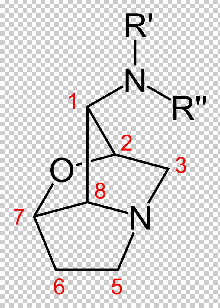 Tall Fescue Epichloë Coenophiala Loline Alkaloid Endophyte PNG, Clipart, Alkaloid, Angle, Area, Chemical Compound, Chemical Property Free PNG Download