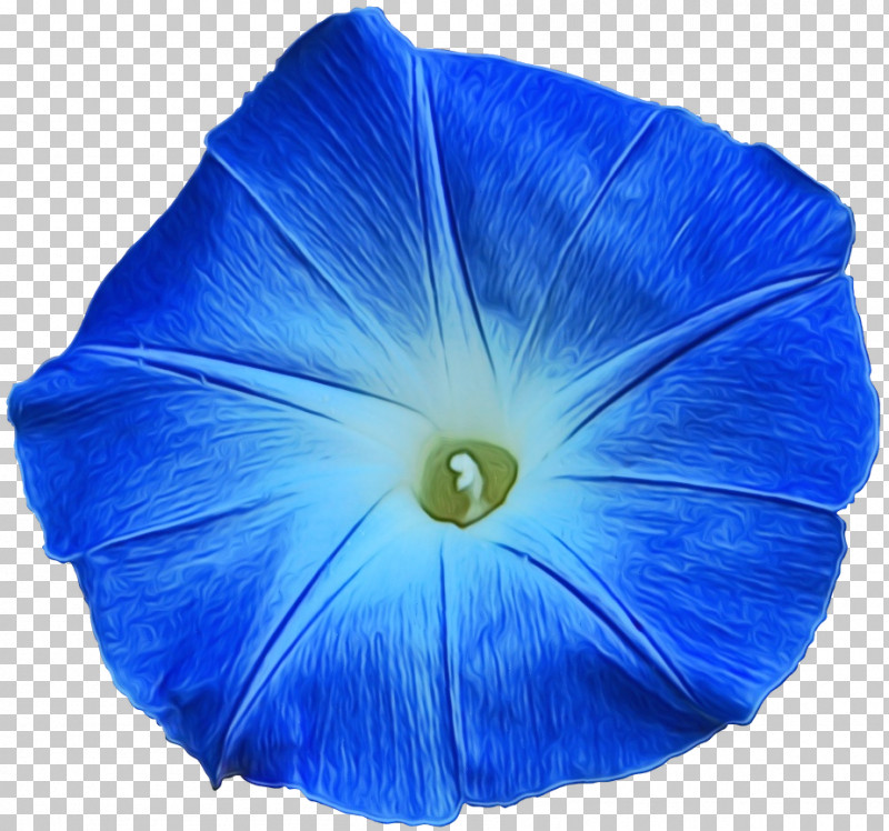 Electric Blue M Cobalt Blue / M Electric Blue / M Cobalt Blue / M Petal PNG, Clipart, Electric Blue M, Flower, Microsoft Azure, Morning Glory, Paint Free PNG Download