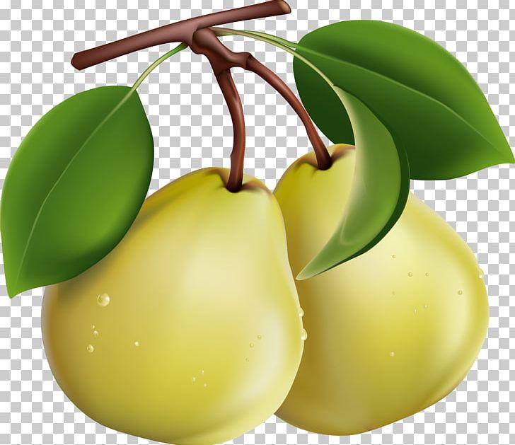 Pear Fruit Salad Computer File PNG, Clipart, Apple, Asian Pear, Chia, Citrus, Computer File Free PNG Download