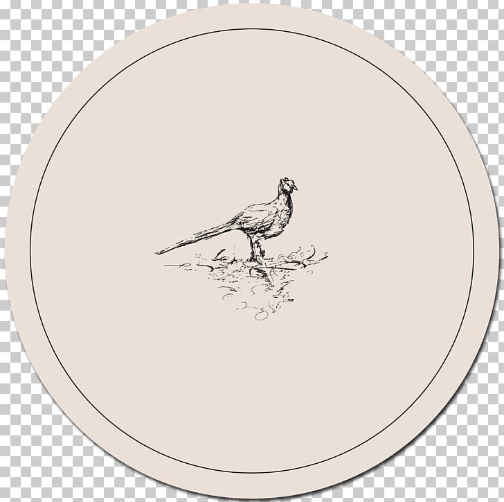Rooster Oval Beak PNG, Clipart, Beak, Bird, Chicken, Galliformes, Oval Free PNG Download