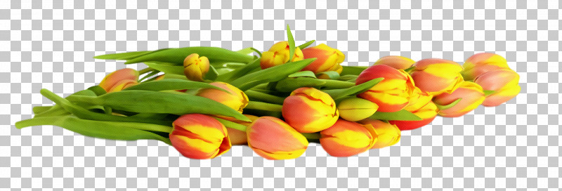 Spring Flower Spring Floral Flowers PNG, Clipart, Bouquet, Bud, Cut Flowers, Flower, Flowers Free PNG Download