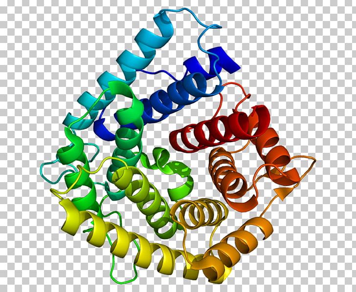 C4A Complement Component 4 Complement System Protein Immunoglobulin M PNG, Clipart, Albumin, Amino Acid, Artwork, Biology, C4a Free PNG Download