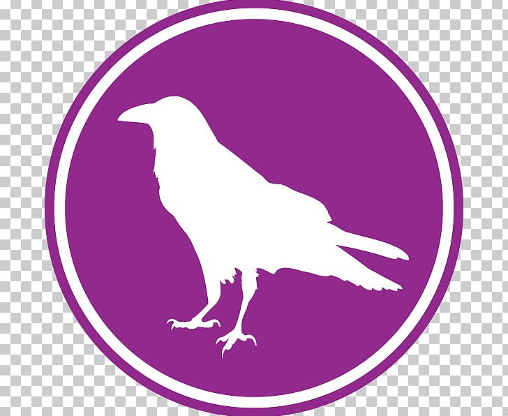 The Raven T-shirt Inner Light Festival Huginn And Muninn Child PNG, Clipart, Beak, Bird, Child, Clothing, Common Raven Free PNG Download