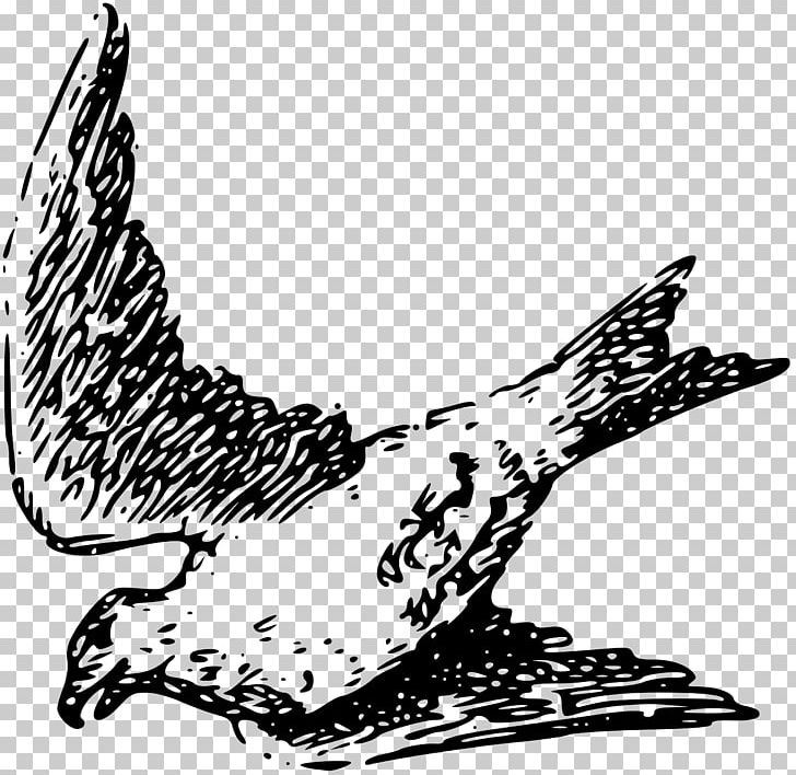 Bird Line Art Drawing PNG, Clipart, Animals, Art, Beak, Bird, Bird Of Prey Free PNG Download