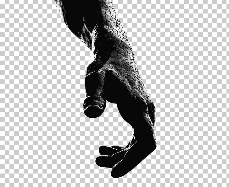 Hand Drawing Female PNG, Clipart, 4chan, Arm, Armed, Arms, Auguste Rodin Free PNG Download