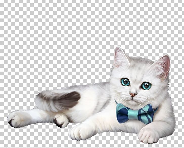 Kitten American Shorthair Whiskers Domestic Short-haired Cat British Shorthair PNG, Clipart, Albom, American Shorthair, American Wirehair, Animal, Animals Free PNG Download
