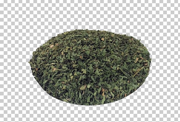 Nilgiri Tea Tieguanyin Tea Plant PNG, Clipart, Assam Tea, Bancha, Biluochun, Ceylon Tea, Chun Mee Tea Free PNG Download