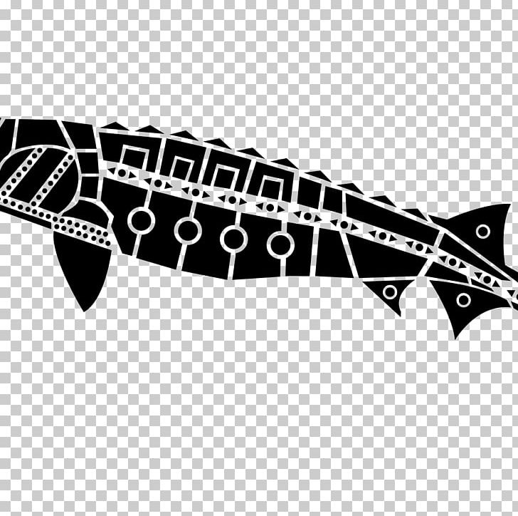 Sturgeon Art Beluga Printing Spawn PNG, Clipart, Angle, Animal, Art, Beluga, Beluga Caviar Free PNG Download