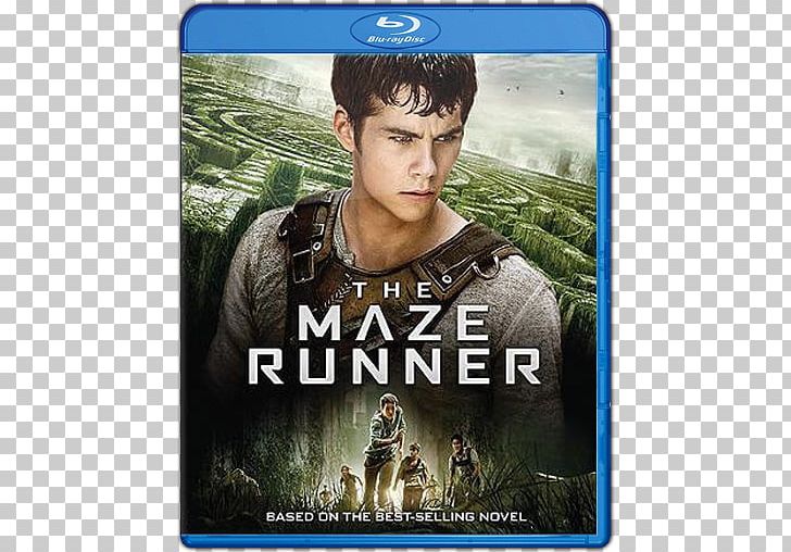Dylan O'Brien The Maze Runner Ultra HD Blu-ray Blu-ray Disc PNG, Clipart,  Free PNG Download