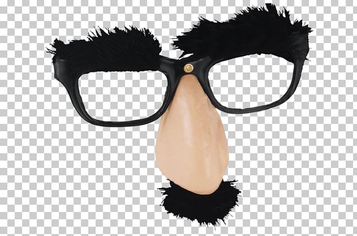 Glasses Eyebrow Nose Facial Hair PNG, Clipart, Animal, Bushy, Disguise, Eye, Eyebrow Free PNG Download