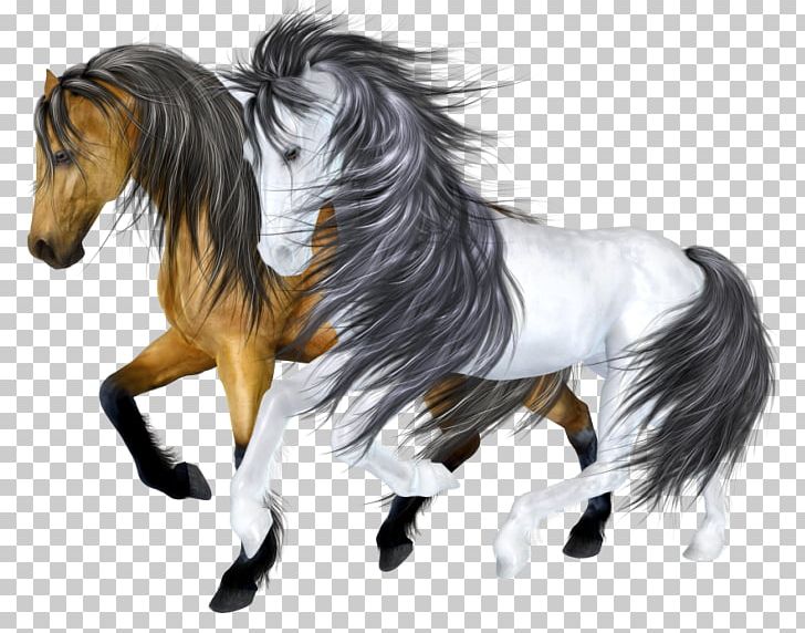 Mustang Drawing Stallion Pony PNG, Clipart, Animaatio, Cartoon, Cartoon Horse, Drawing, Google Free PNG Download
