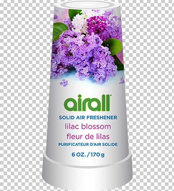 Airall Solid Air Fresheners Odor Perfume Gel PNG, Clipart, Air Fresheners, Carrageenan, Cut Flowers, Floral Design, Flower Free PNG Download