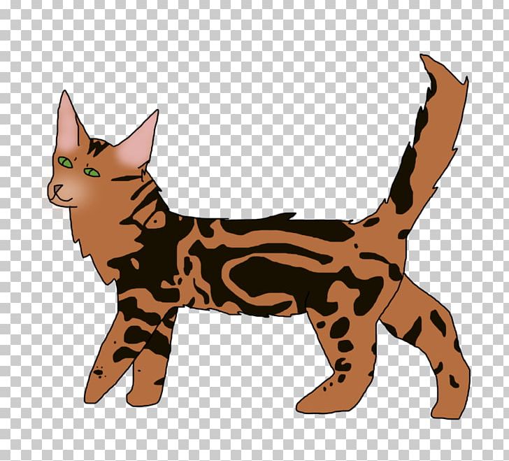 Whiskers Kitten Wildcat Dog PNG, Clipart, Animal, Animals, Bengal Cat, Canidae, Carnivoran Free PNG Download